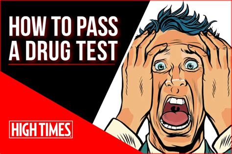 Current and future employers will often ask employees to undergo a drug test. How To Pass A Drug Test: Drug Testing 101 | 420dankZone