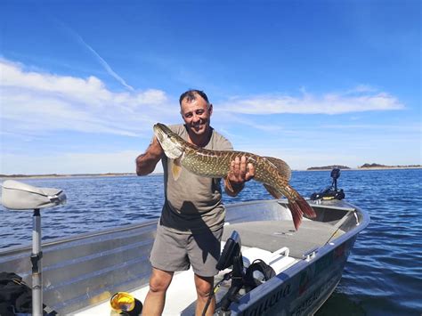 Dark sky alqueva, primeiro destino starlight do mundo. Brochet (pêche des carnassiers) super Marco !! Lac d ...