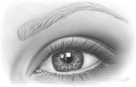 In this drawing tutorial i will show you easy way how to draw eyebrows step by step for beginners. How to draw eyebrows on paper | RapidFireArt