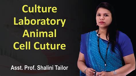 Check spelling or type a new query. Culture Laboratory || Animal Cell Cuture || Animal Tissue ...