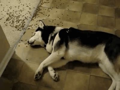 Vomiting may occur directly after eating or anytime thereafter. You know you're an ER nurse when... - Scrubs | The Leading ...