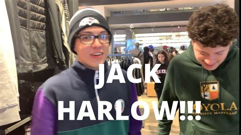 Discover jack harlow net worth, salary, biography, height, dating, wiki. MEETING JACK HARLOW AT THE MALL!! - YouTube