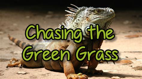 This information might be about you, your click on the different category headings to find out more and change our default settings. Chasing The Green Grass | Witch Digest