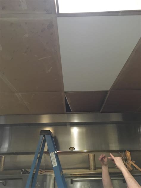 You can also get them in special. Finally got new ceiling tiles... : KitchenConfidential