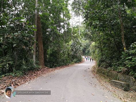 You can also stay at some home stays in gunung pulai area. Hutan Lipur Gunung Pulai Recreational Forest, Kulai ...