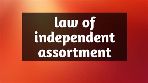 The law of independent assortment is a law that describes how different genes and their alleles are inherited within sexually reproducing organisms. Law of independent assortment - YouTube