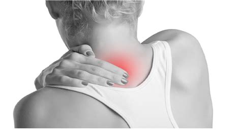 Two round fleshy parts that. Polymyalgia rheumatica causes two prominent symptoms ...