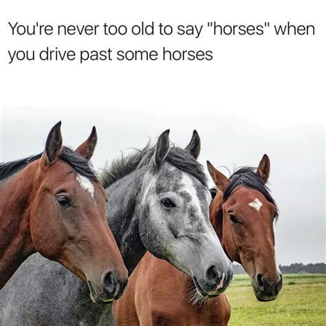 He took the 2nd pack and jumped out of the plane. 27 Funny Memes To Make You Laugh - Gallery | eBaum's World