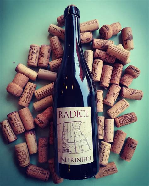 Paltrinieri 2019 radice corona secco (dry) lambrusco di sorbara, 750ml. Radice | Paltrinieri | Enoteca Red Red Wine