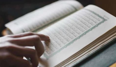 Biasanya juz amma juga sering dibaca ketika sholat usai membaca surat al fatihah. Surat Juz Amma untuk Awal Menghafal Alquran - kumparan.com