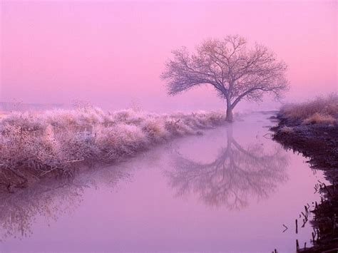 Mexico hd with a maximum resolution of 1920x1080 and related mexico wallpapers. Cottonwood in New Mexico | Aesthetic desktop wallpaper ...