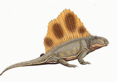 Dimetrodon has fallen into water! Диметродоны - это... Что такое Диметродоны?