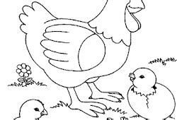 Mewarnai gambar sketsa hewan ayam 1. Mewarnai Ayam Bertelur