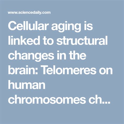 Check spelling or type a new query. Cellular aging is linked to structural changes in the ...