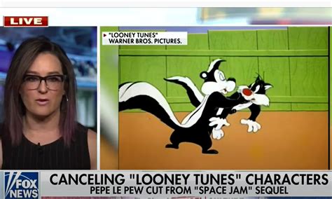 Pepe le pew is love struck for a wildcat disguised as a skunk in this looney tunes short wild over you (july 11, 1953). Fox News defends Pepe Le Pew after 'rape culture' skunk ...
