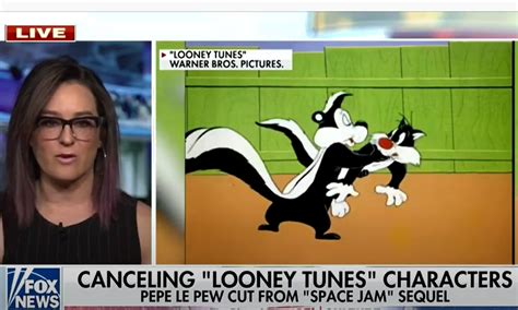Pepe le pew is love struck for a wildcat disguised as a skunk in this looney tunes short wild over you (july 11, 1953). Fox News defends Pepe Le Pew after 'rape culture' skunk ...