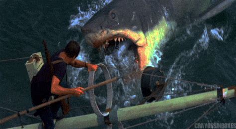 Check spelling or type a new query. Shark Week 2014: 8 Ways Toddlers Are Exactly Like Sharks