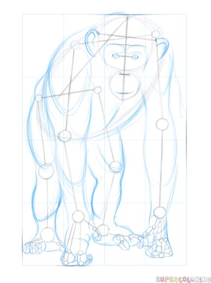 Chimpanzee (animals) we have lots of animals coloring pages ready to be colored. How to draw a chimpanzee | Step by step Drawing tutorials