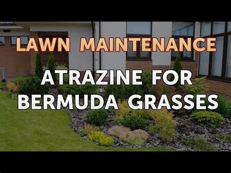 Regulations have reduced rates to below effective levels; Atrazine for Bermuda Grasses - YouTube