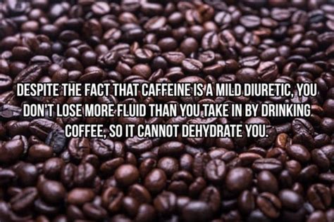 Check spelling or type a new query. 20 Random Coffee Facts To Think About While Sipping Your ...