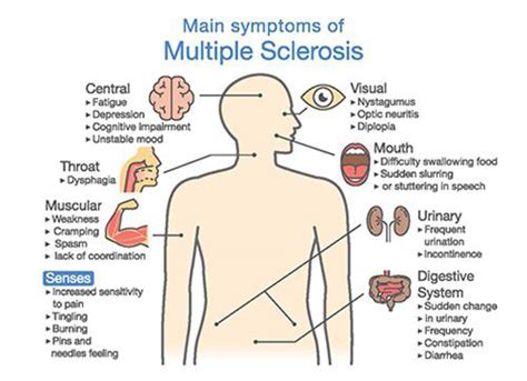 Some people's symptoms develop and worsen steadily over time, while for others they come and go. Massage for Multiple Sclerosis (MS) | Learn More & Book ...