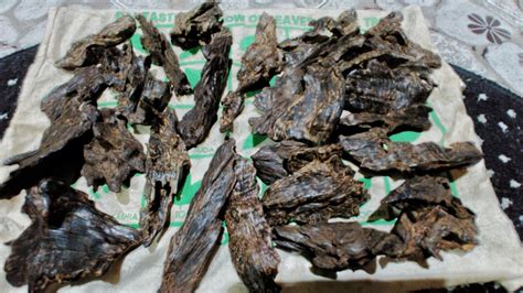 There are dozens of valuable tree species in the philippines. Philippines Agarwood - YouTube