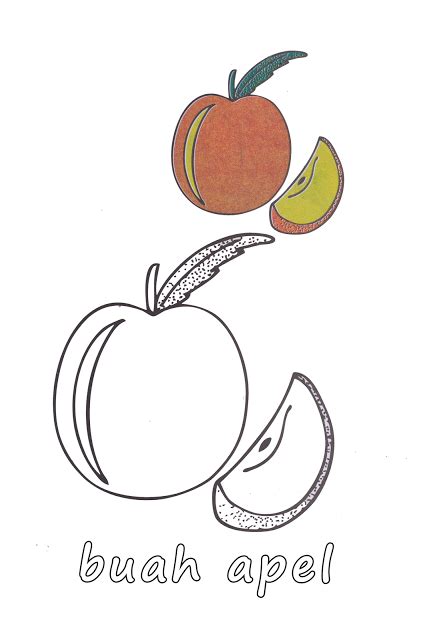 897 123 apple tetesan air buah. Gambar Sketsa Apel : 1000 Kumpulan Gambar Sketsa Pohon ...