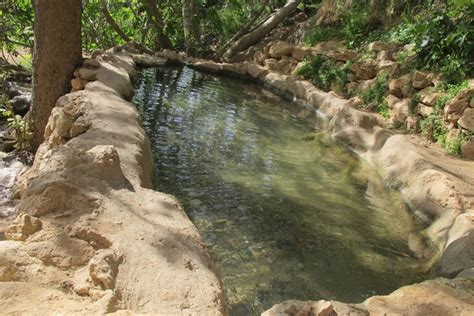 (נא לשים לב למלל בטבלה ולגלריית התמונות) צימרים עם בריכה פרטית מתאימים לחופשה משודרגת ובלתי נשכחת. טיולים בהרי ירושלים - iNature