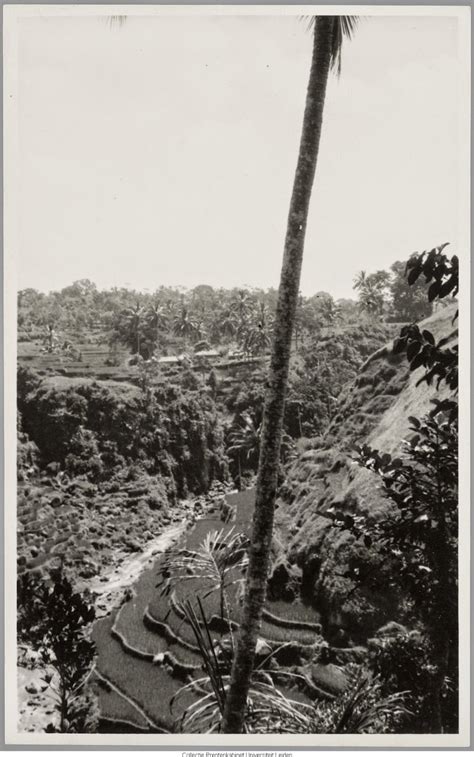 A magical blend of culture, people, nature, activities, weather, culinary delights, nightlife, and beautiful accommodation. Foto Kuno Pemandangan Alam Bali Dan Ojek Wisata Di Bali Tempoe Doeloe | Video Bokep Ngentot