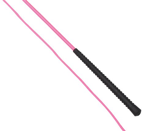 Very often horses are lunged without a proper foundation. Pronto Avenue | Neon Lunge Whip - Pink 160cm