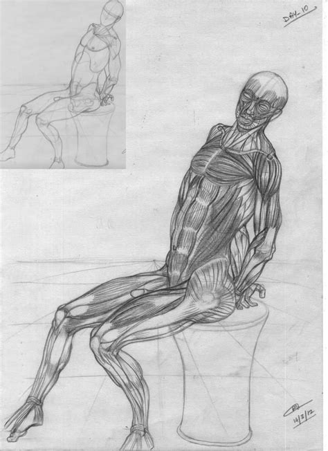 So i open my old anatomy book and begin my. Pin by Raju Mazumder on Muscles | Male sketch, Sketches ...