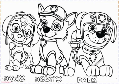 Free paw patrol coloring pages to print and download. Paw Patrol Printable Coloring Pages Pdf - Free Printable Coloring Pages for Kids and Adults