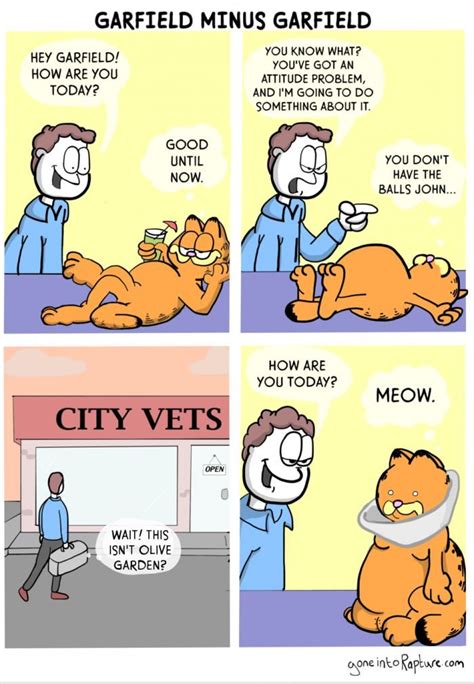 You can see how to get to city cat vet clinic on our website. Garfield minus Garfield | City vet, Best funny pictures ...