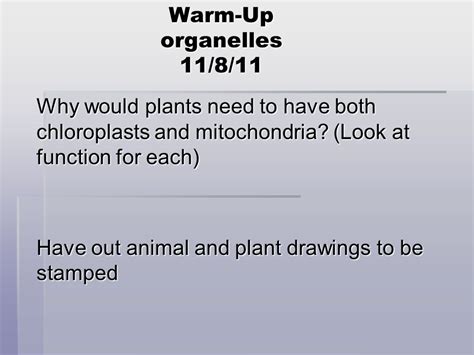 We did not find results for: Why do plants need both a chloroplasts and mitochondria ...