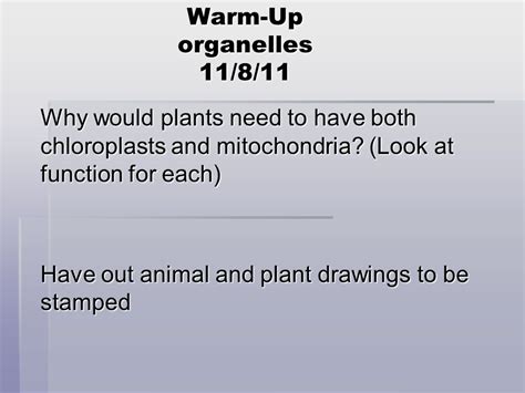 A chloroplast is an organelle not found in animals cells that can carry out the process of photosynthesis. Why do plants need both a chloroplasts and mitochondria ...