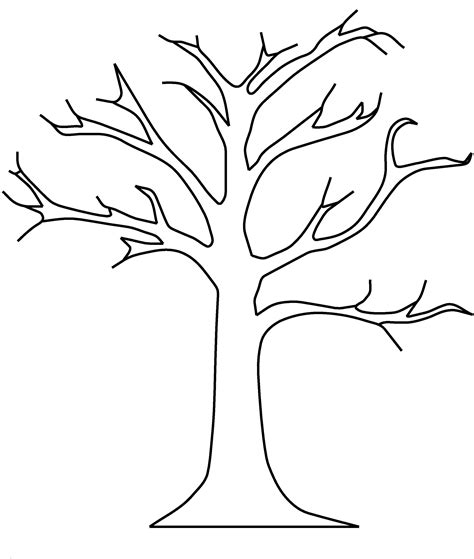 The cotton tree is a tropical tree belonging to the malvaceae family and malvales order. Tree Template | Best Template Collection Clip Art Library ...