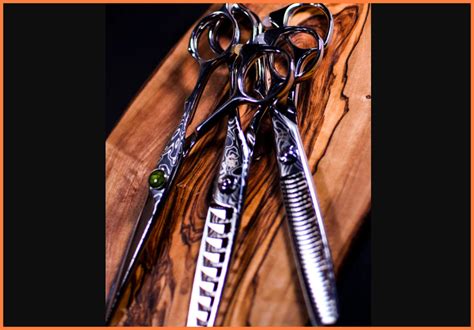 A barber is a person whose occupation is mainly to cut, dress, groom, style and shave men's and boys'faces or beards. Qualities of Professional Barber Scissors and Source of ...