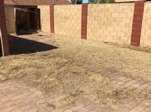 Hire a pro & get the job done right!. #1 Tempe, AZ Lawn Care Service | Lawn Mowing from $19 ...
