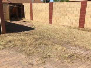 Slow release fertilizer grassy weed, crabgrass, broadleaf, dandelion, clover, and more than 20 years of lawn care at your service. #1 Tempe, AZ Lawn Care Service | Lawn Mowing from $19 ...