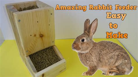 Lie on your tummy on the floor and let the bunny out of his safe haven (hutch). How to make a simply rabbit feeder-easy to make - YouTube