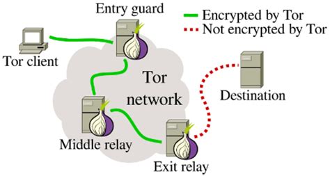 It may increase or decrease with the future update. Tor Network: what it is and how it works