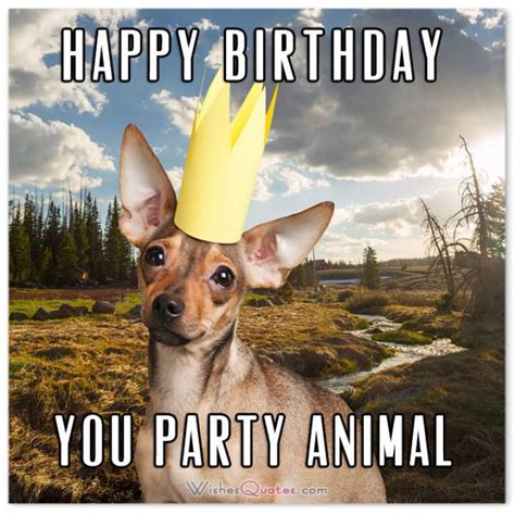 Make Them Smile With These Funny Birthday Messages