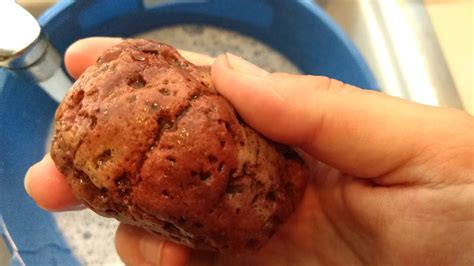 Just dumping lava rocks in our aquarium is not the best idea. How to clean rocks with vinegar - YouTube