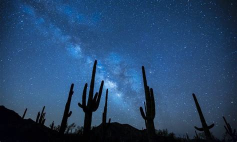 El santuario de los cactus es una reserva natural de 50 hectáreas que incluye un parque de 6 hectáreas en su primera etapa. El más grande Santuario de Cactus del mundo está en La Paz ...