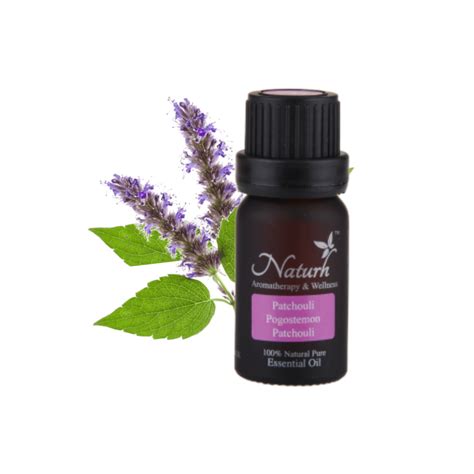 Our essential oils extraction in malaysia the natural herbs and plants may change it medication value and nutrients compound due to heat. Patchouli 10ml Premium Essential Oil Malaysia, Selangor ...