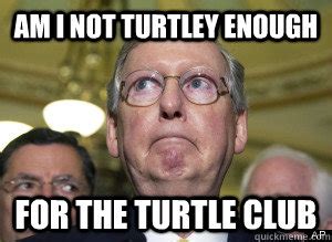 First is his general resemblance to a turtle. Mitch Mcconnell Turtle Meme / Aides Forced To Cut Mitch Mcconnell Out Of Six Pack Of Plastic ...