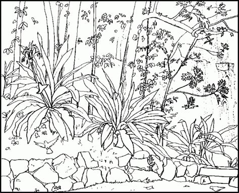 The best free For adults coloring page images. Download from 14043 free coloring pages of For ...