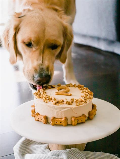I like to make every birthday for stanley super special. Pumpkin Dog Cake Recipe - If You Give a Blonde a Kitchen