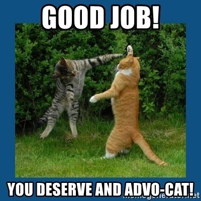 With tenor, maker of gif keyboard, add popular great job meme animated gifs to your conversations. Good Job! You deserve and ADvo-Cat! - High Five Cats | Meme Generator