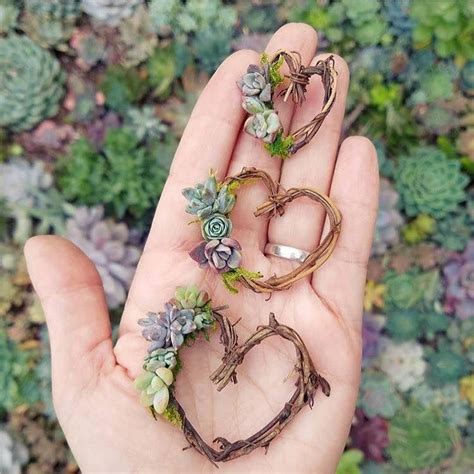 The name for some plants in predominantly arid regions is spelled cactus (plural cacti). Pin by Finding Beauty In Life on Under The Spell of ...